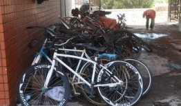 长春自行车爆料视频大全,骑行风采与安全警示集锦